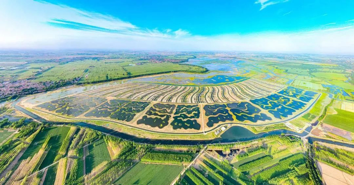 △ 府河湿地。