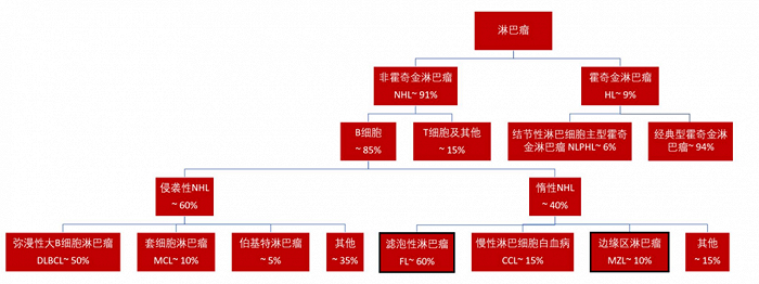 图：淋巴瘤分型占比，来源：中信证券