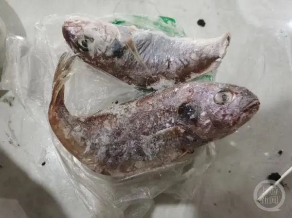 图源：上游新闻