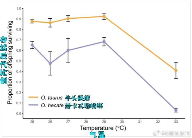 但牛头蜣螂也没啥可得意的，在伊维菌素影响下，大家既推不动育雏球也挖不了深洞。