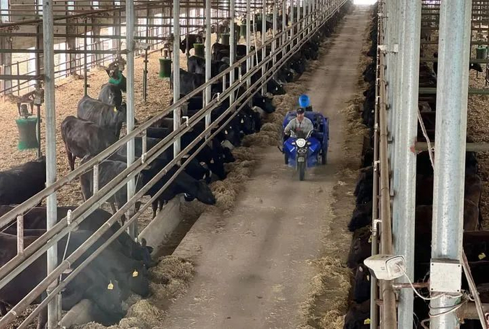 这是位于齐齐哈尔市龙江县哈拉海乡的龙江元盛食品有限公司，工人正在现代化牛舍中工作。