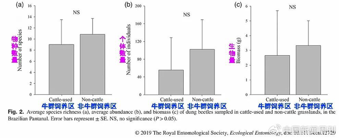 而毒害屎壳郎的伊维菌素，又是全球范围广泛使用的驱虫药，常被添加在养殖牲畜的饲料中。