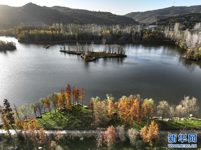 11月16日拍摄的河南黄河湿地国家级自然保护区济源段景色(无人机