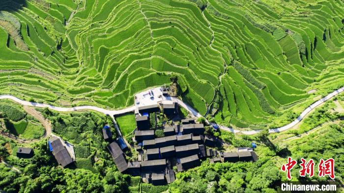 新晃县凉伞镇坪南梯田。　　　姚本荣摄