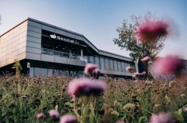 蔚蓝海岸，猫的天空之城。