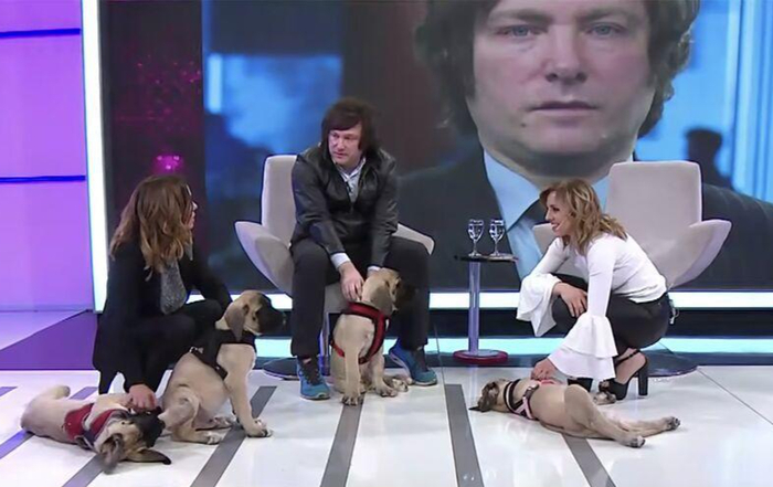 ▲米莱曾带着4只克隆犬上节目