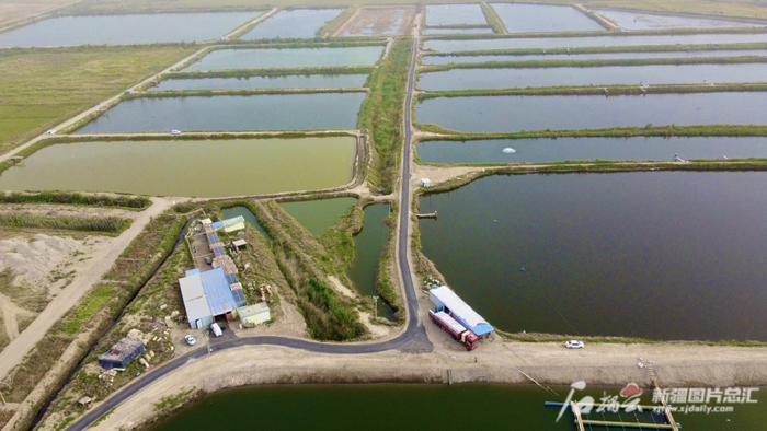 新疆盐碱地治理系列报道④丨高位推动 为端牢中国饭碗贡献新疆力量|新疆|自治区_新浪新闻