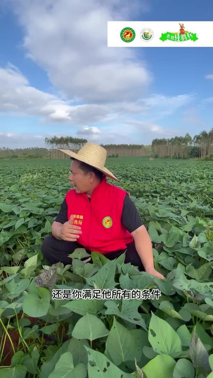 如何持續?_新浪新聞