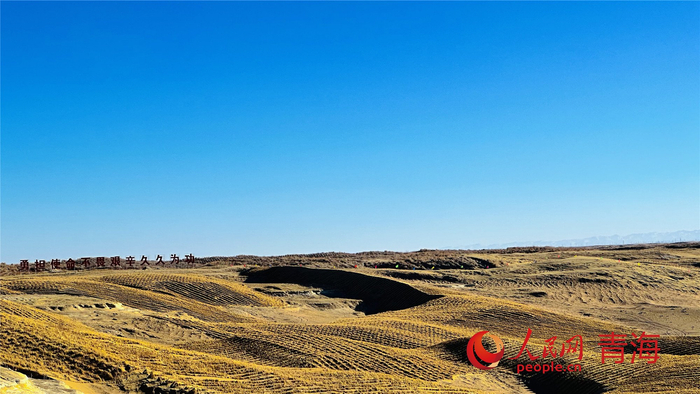 冬季沙珠玉。人民网记者 刘沛然摄