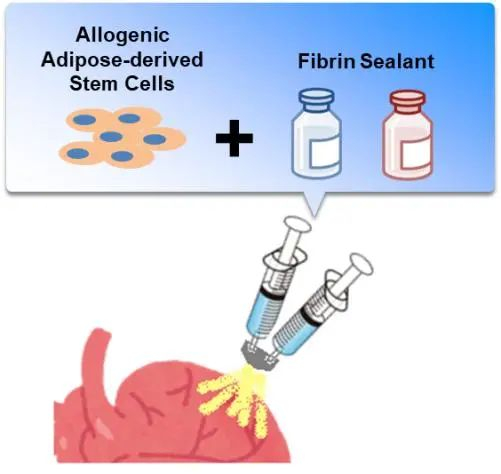 图源：大阪大学