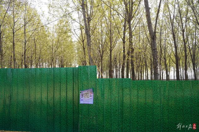 音乐节营地的围挡上还张贴着宣传海报。 王倩 / 摄