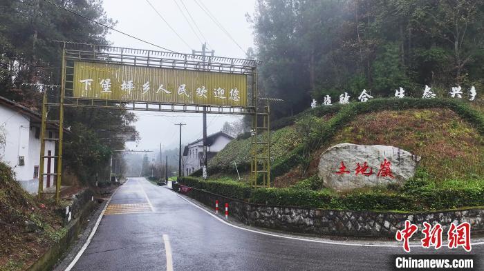 在湖北省宜昌市夷陵区下堡坪乡九山村,村民周治新安排工人在地里挑拣