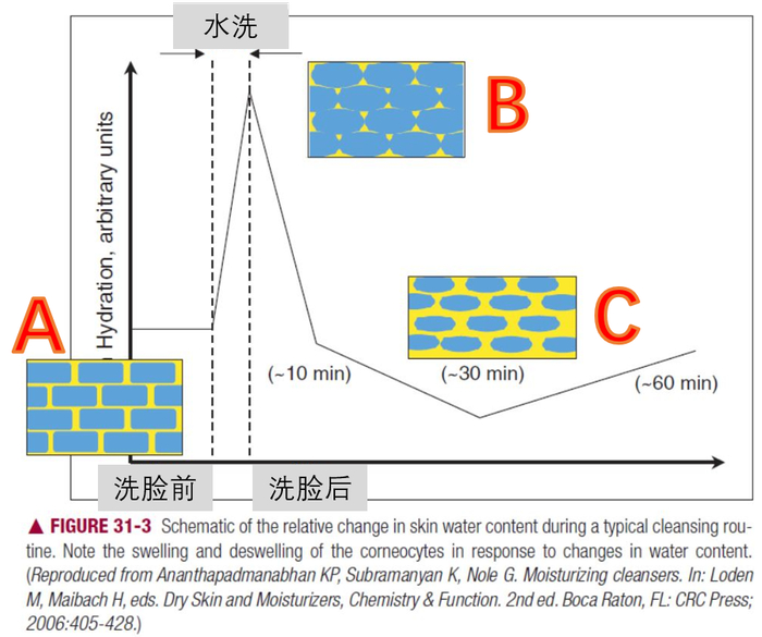图片来源：Cosmetic Dermatology, 2nd version