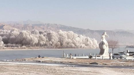 贵德黄河冬日美景。