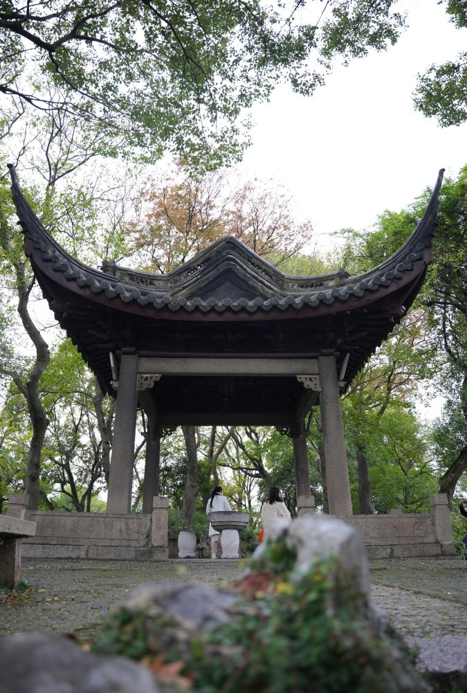 园林主景沧浪亭。 新华社记者 毛俊 摄