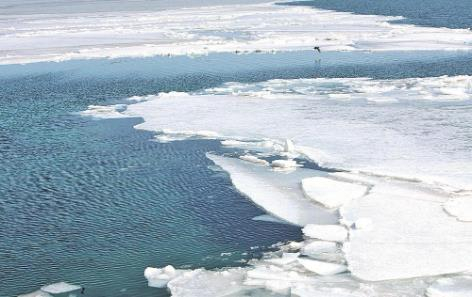 冬季的青海湖向游客展现静谧之美。