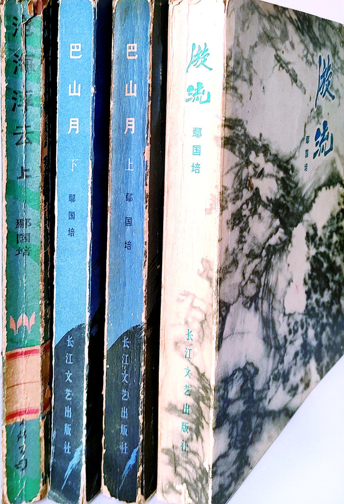     长篇小说《漩流》等书籍