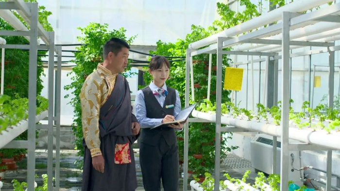 图为农行西藏分行为一家绿色种植企业提供贷前上门调查服务。（农行供图）