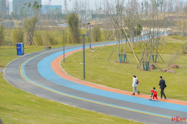 成都市民在公园散步 王勤 摄