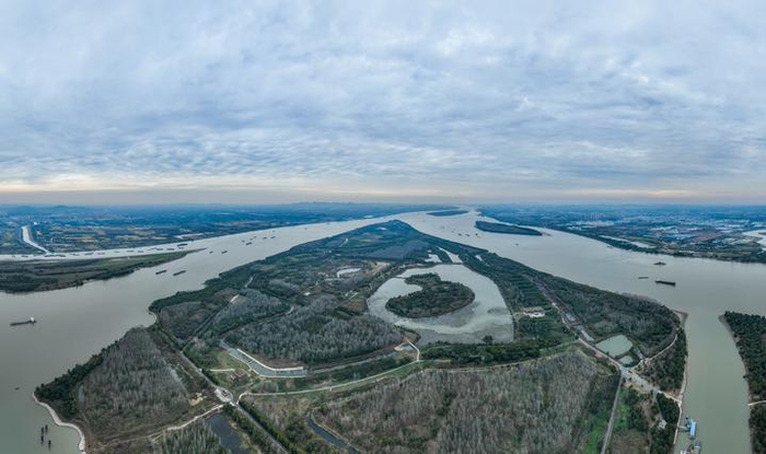 长江新济洲景色（11月13日摄，无人机照片）。记者 季春鹏 摄