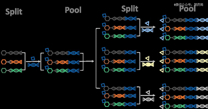 图：DEL构建过程