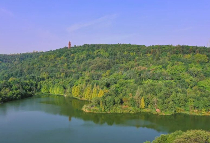 赏叶点照母山森林公园。资料图