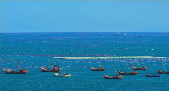         长海县已开发利用海域面积达800多万亩。本版图片由本报记者查金辉摄