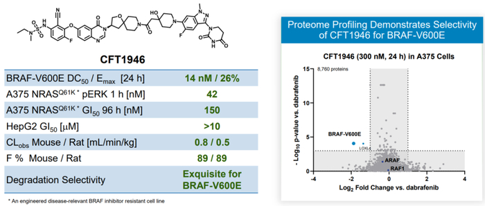 图5 CFT1946结构和性质