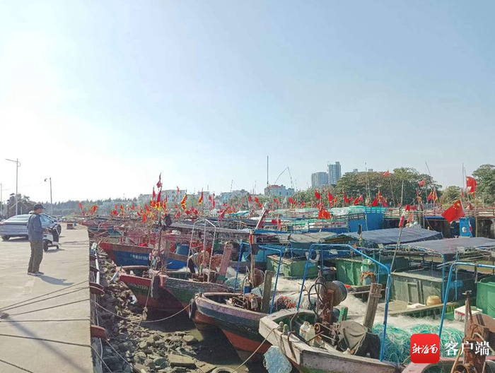  停泊在中心渔港内的渔船。记者苏桂除 摄