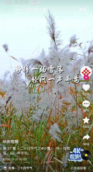 央视频账号推出的系列竖屏短视频，给手机用户提供了全新的、沉浸式的视觉体验。资料图片