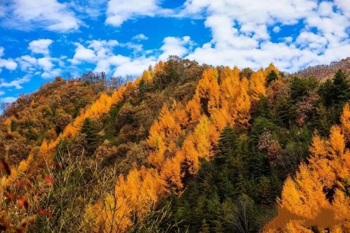 陕西黑河国家森林公园美景