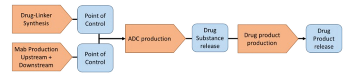 图4 ADC生产流程和关键控制点