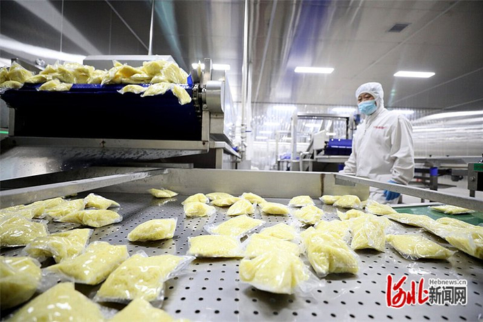 11月19日，河北今旭面业有限公司快熟面生产车间，智能震动筛对包装好的面条产品进行表面沥水。河北日报通讯员 成梅摄