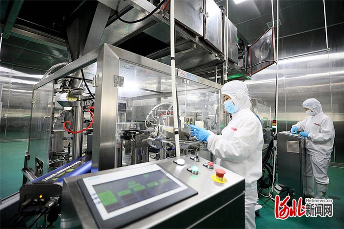 11月19日，河北今旭面业有限公司快熟面生产车间，员工正在操控智能包装机进行上袋操作。河北日报通讯员 成 梅摄