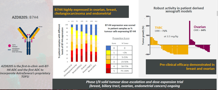 图9. AZD8205结构与活性（图源：参考文献5）