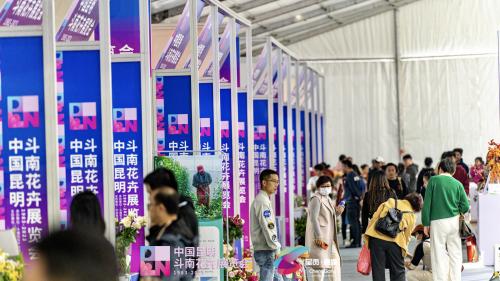 11月24日,中国昆明斗南花卉展览会现场图