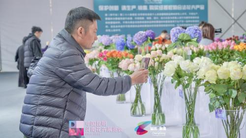 11月24日,斗南花卉展览会现场,新品种展区获得高度关注
