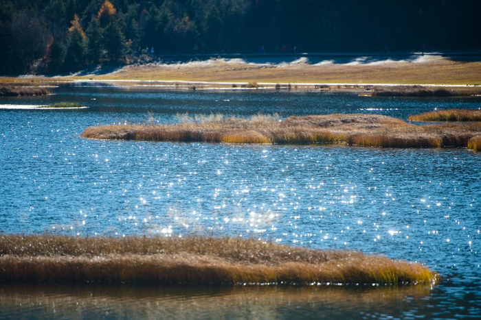 　　普达措国家公园属都湖一景。