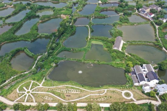 俯瞰桑基鱼塘。湖州市农业农村局供图