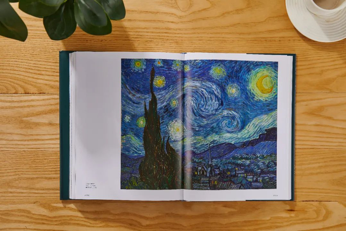 *《星夜》（The Starry Night, 1890）布面油画，纽约MOMA