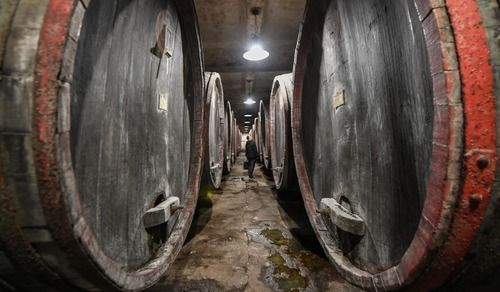 游客在通化世界甜酒文化博览中心地下酒窖参观。新华社记者 王昊飞 摄