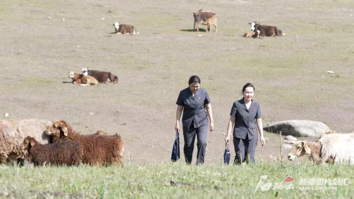 福海县人民法院喀拉玛盖人民法庭办案人员常年驻守基层，用脚步丈量着山区的每一寸土地。阿热艾·巴合特别克供图