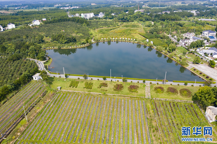   黄铺村一角。（受访者供图）