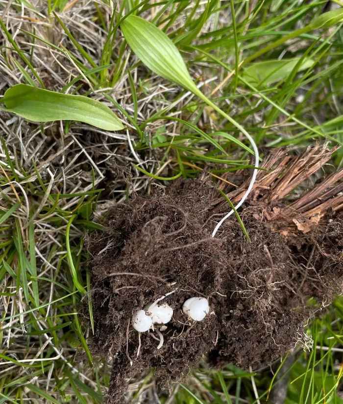 （图源：中国企业家杂志）