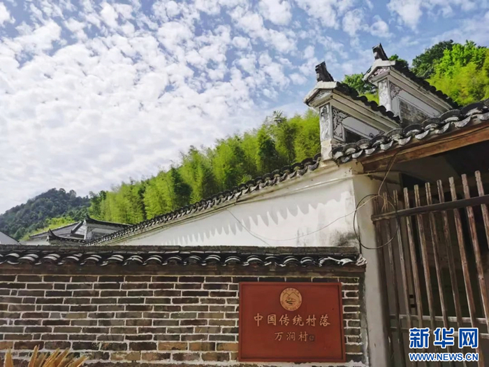   竹海掩映下的徽派民居。（受访者供图）