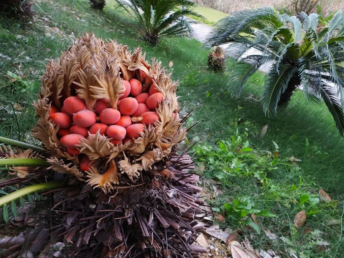 图片来源：图虫创意