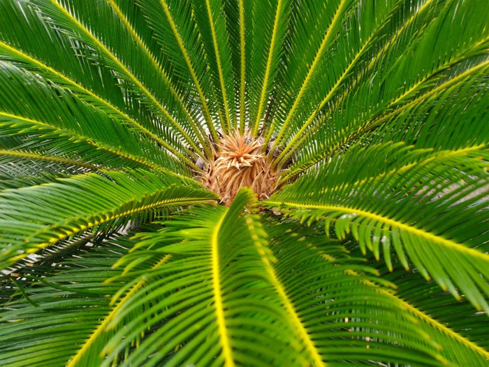 图片来源：图虫创意