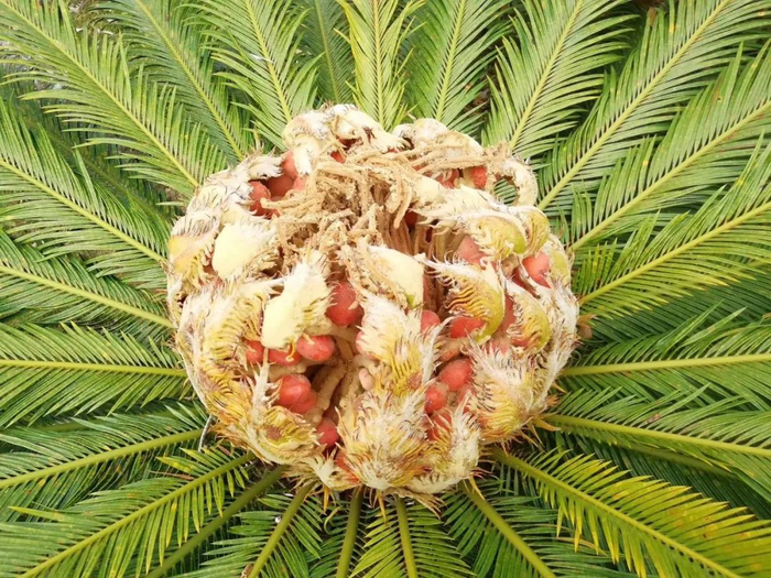 图片来源：图虫创意