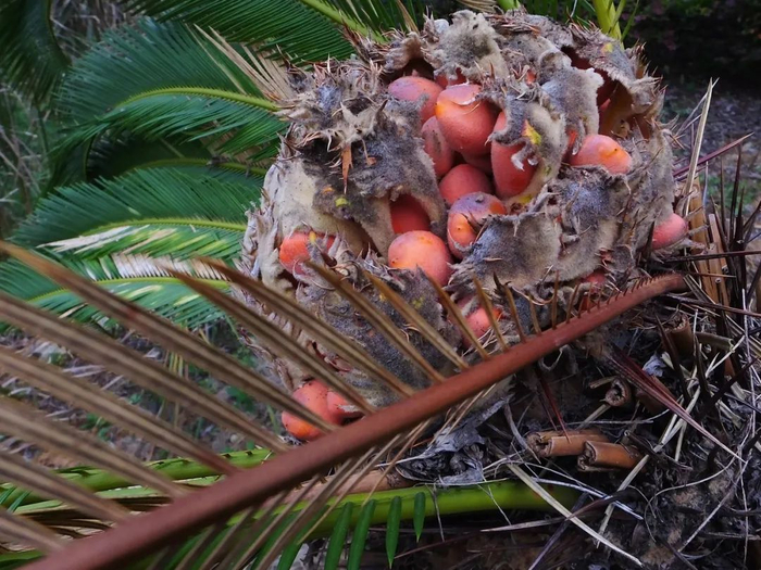 图片来源：图虫创意