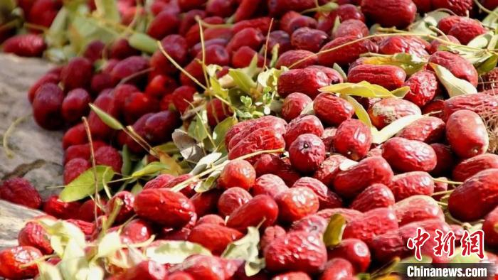 颗颗色泽鲜红、形状饱满的红枣撒落在地上。若羌县融媒体中心 　供图